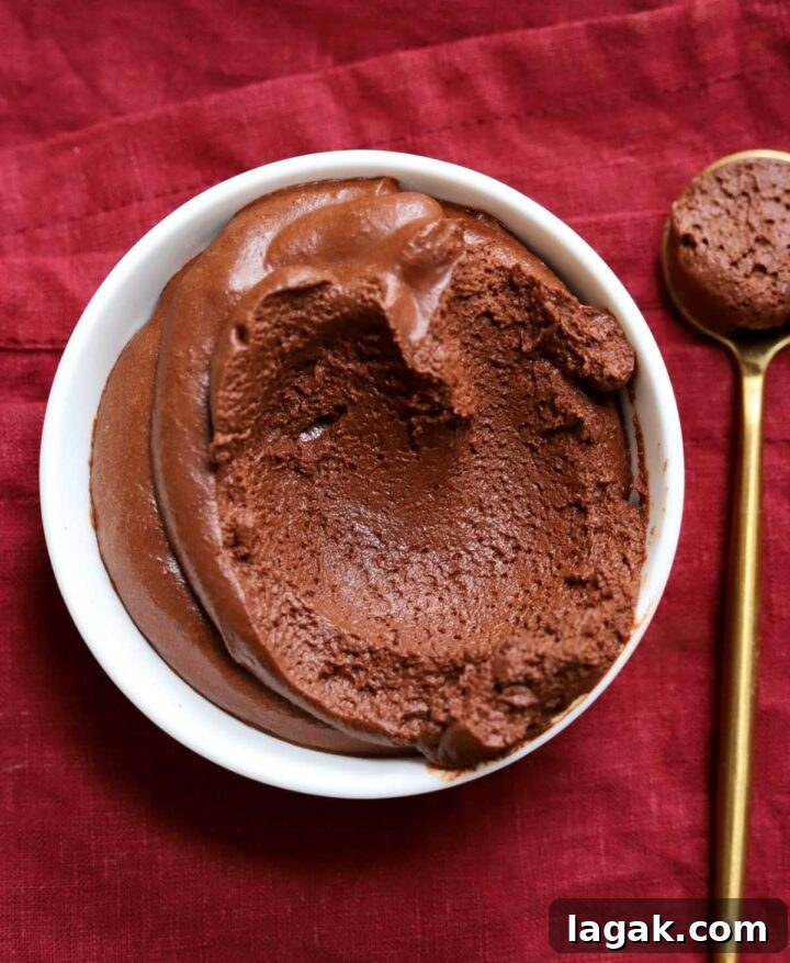 Instant Chocolate Mousse with One Ingredient — Quick Recipe 2 one ingredient chocolate mousse in serving bowl with spoon