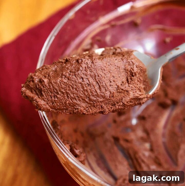 Instant Chocolate Mousse with One Ingredient — Quick Recipe 4 one ingredient chocolate mousse on a spoon showing airy texture