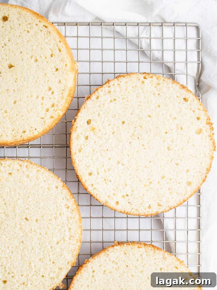 Strawberry Champagne Layer Cake — Festive Recipe for Entertaining 3 overhead view of torted champagne cakes