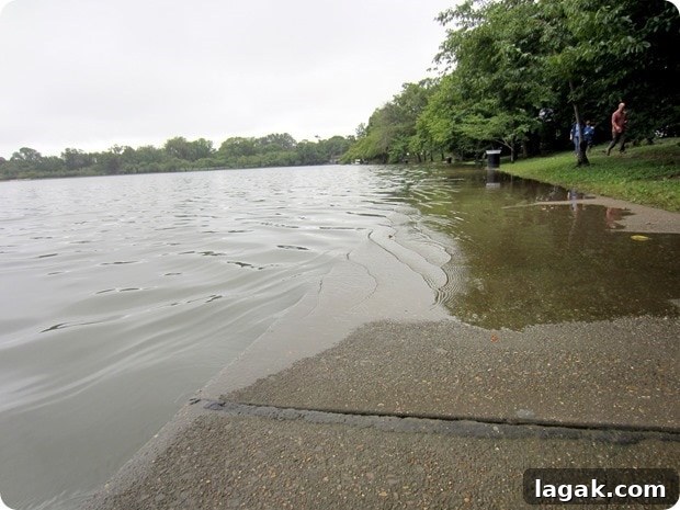tidal basin flooding tidal basin flooding