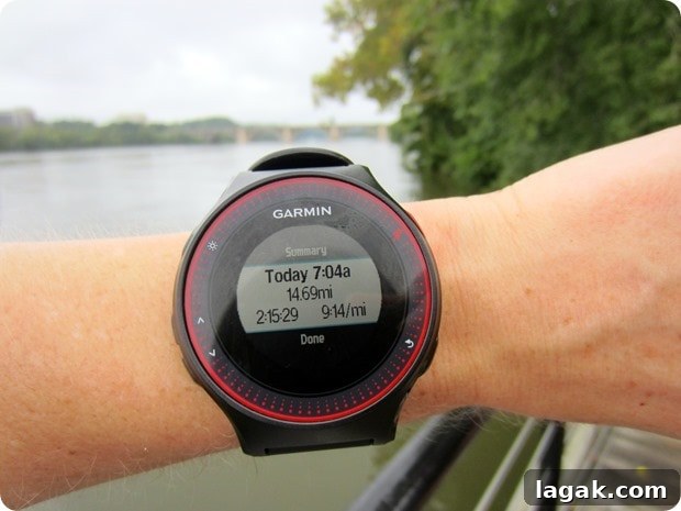 15 mile marathon training run 15 mile marathon training run