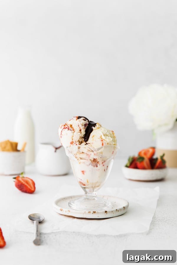 No-Churn Strawberry Cheesecake Ice Cream Recipe 5 strawberry cheesecake ice cream covered in chocolate sauce.
