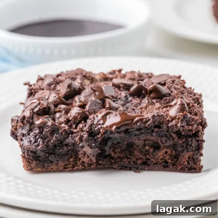 Decadent Chocolate Dump Cake Recipe – Quick One-Bowl Dessert 9 chocolate dump cake