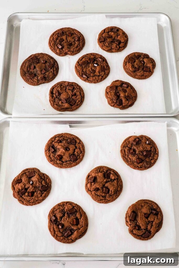 Ultimate Double Chocolate Chip Cookie Recipe for Rich, Gooey Cookies 13 Baked double chocolate chip cookies on a baking sheet.