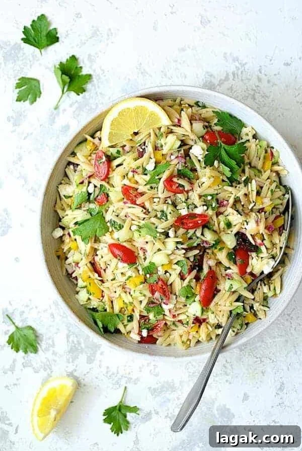 Greek Orzo Pasta Salad