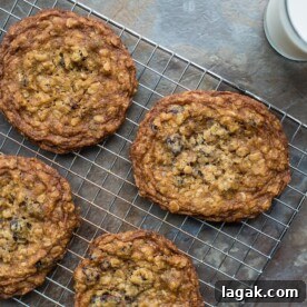 My New Favorite Oatmeal Cookies