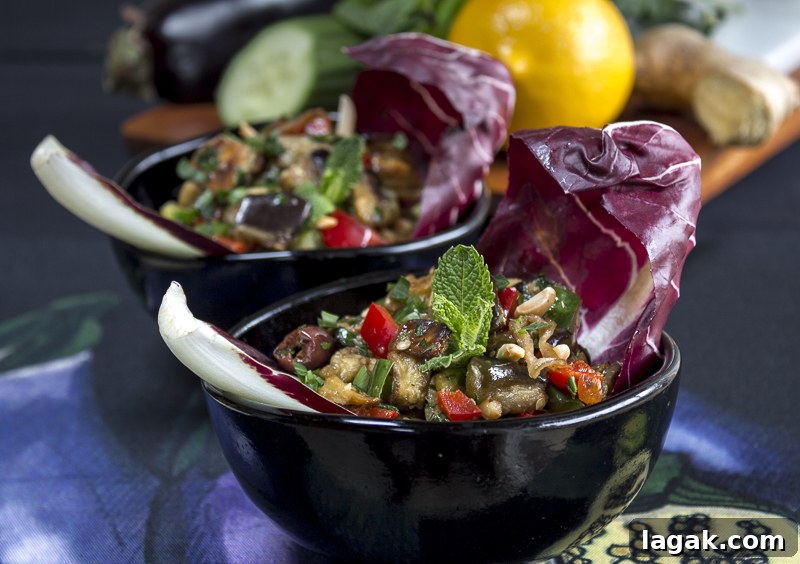 Roasted Eggplant Salad with Meyer Lemon and Ginger Dressing 2 Delicious and Healthy Eggplant Salad with a Meyer Lemon-Ginger Dressing