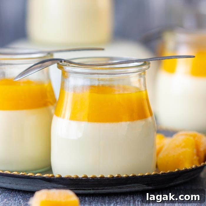 Quick Tiramisu Dip — Ready in 5 Minutes 9 Best Mango Panna Cotta