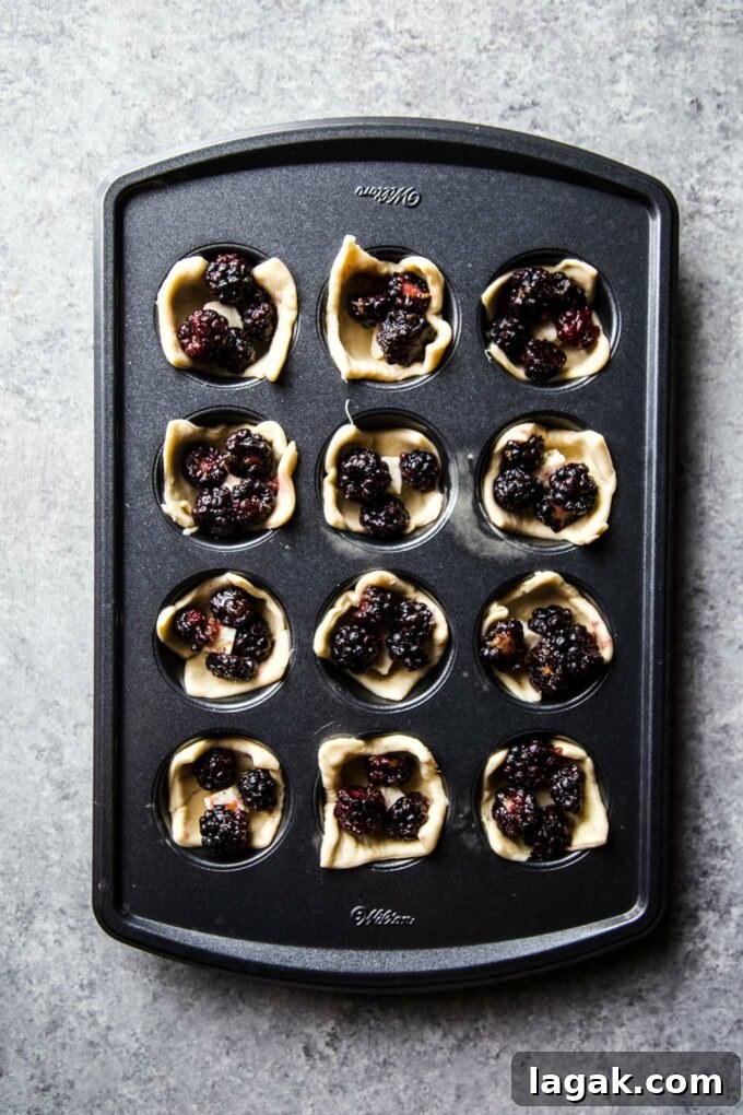 Cardamom Blackberry Brie Bites with Honey and Crispy Phyllo 6 blackberries and brie in muffin tin