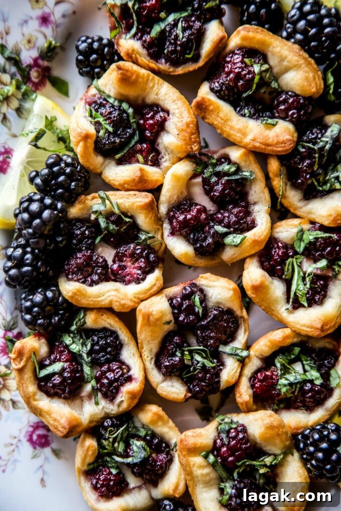 Cardamom Blackberry Brie Bites with Honey and Crispy Phyllo 7 Cardamom Blackberry Brie Bites