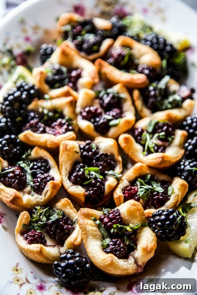 Cardamom Blackberry Brie Bites with Honey and Crispy Phyllo 8 Cardamom Blackberry Brie Bites