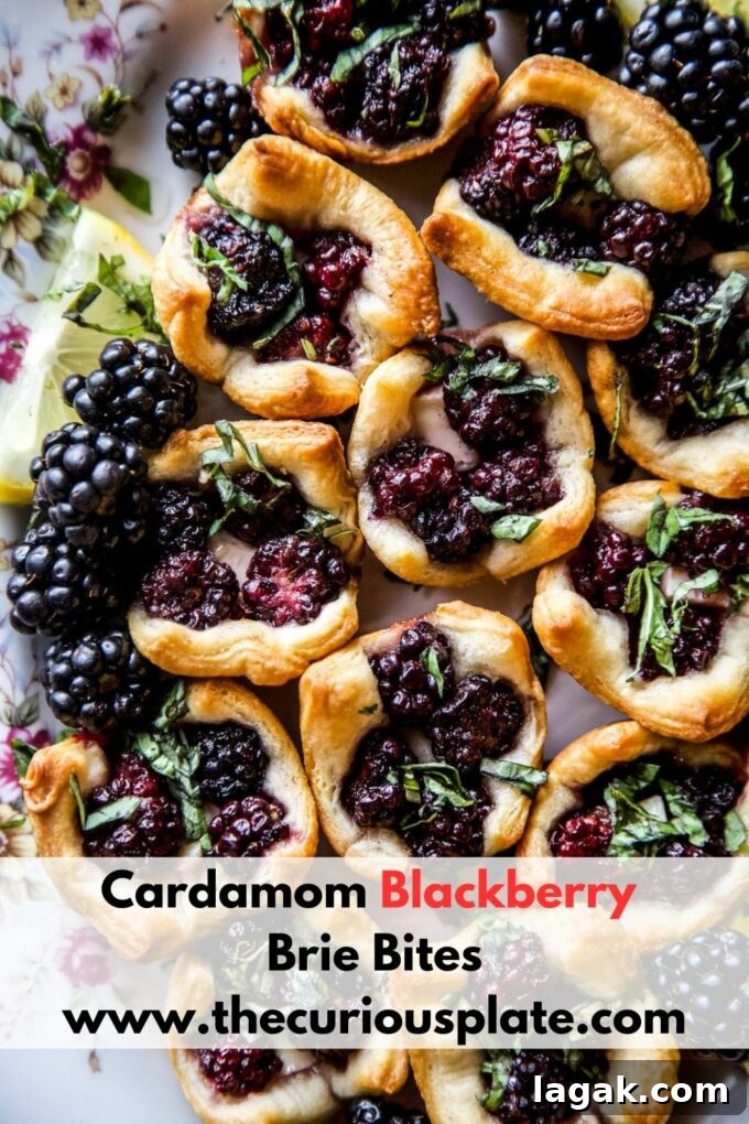 Cardamom Blackberry Brie Bites with Honey and Crispy Phyllo 10 Cardamom Blackberry Brie Bites