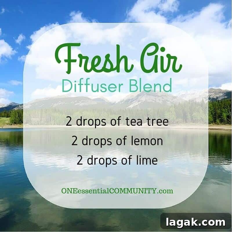 25+ Summer Essential Oil Diffuser Blends (+ Free Printable) 7 Best Summer Essential Oil Diffuser Blends