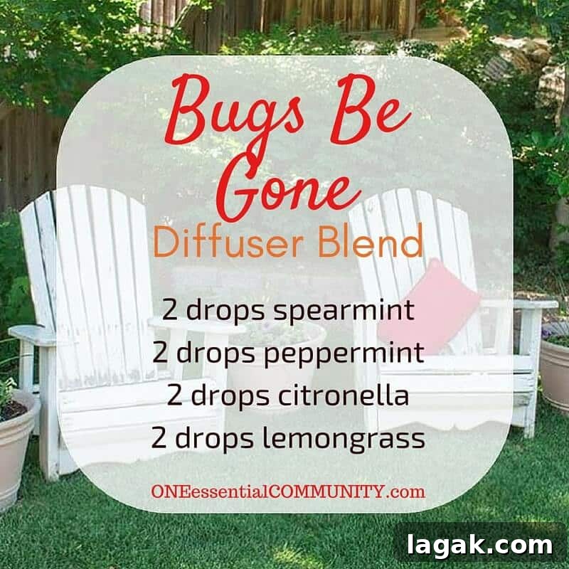 25+ Summer Essential Oil Diffuser Blends (+ Free Printable) 8 Best Summer Essential Oil Diffuser Blends