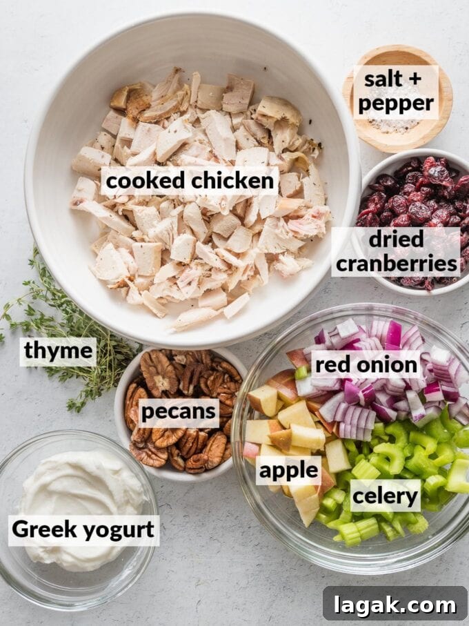 Labeled overhead photo of chopped cooked chicken, celery, red onion, apple, pecans, dried cranberries, fresh thyme, Greek yogurt, kosher salt and black pepper, all in prep bowls.