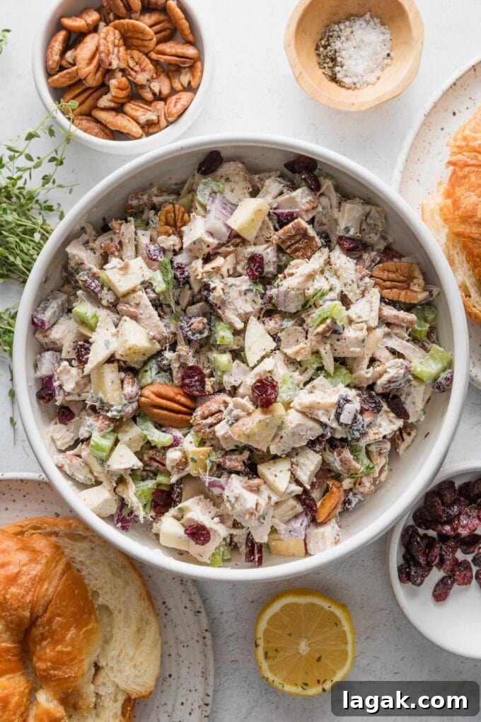 Overhead view of a large white ceramic bowl filled with cranberry pecan chicken salad, with extra pecans, dried cranberries, and croissants for serving neraby.