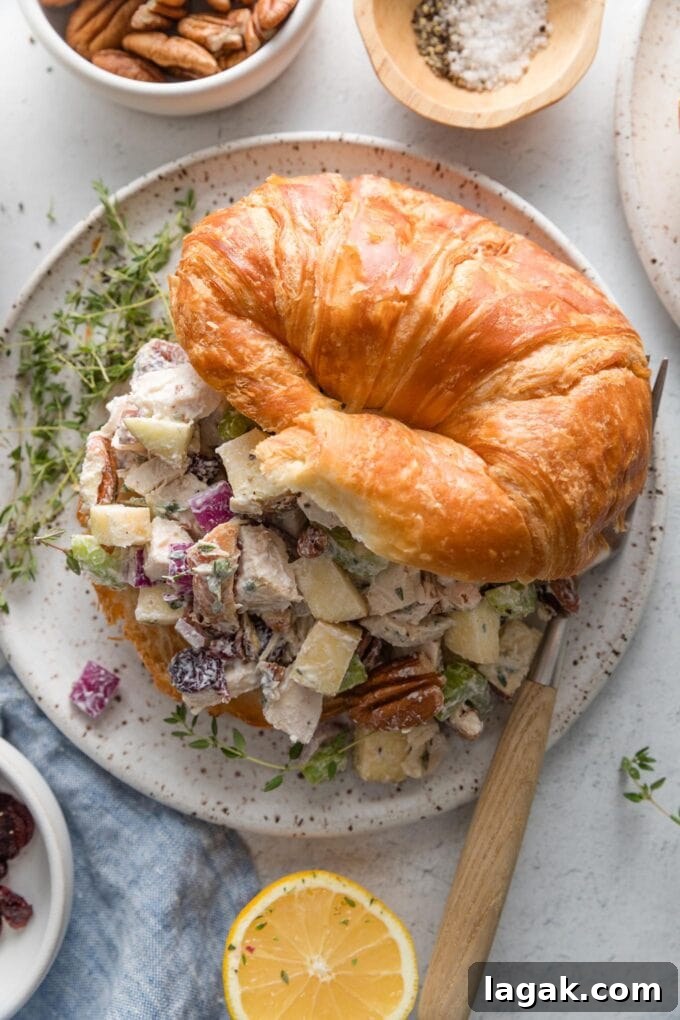 Small lunch plate with a large butter croissant filled with cranberry pecan apple chicken salad, and a few sprigs of fresh thyme on the side.