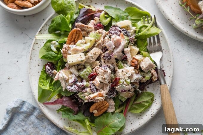 Landscape view of a plate with a bed of mixed salad greens topped with cranberry pecan chicken salad.