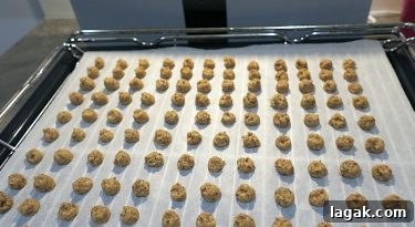 Sugar Free Nocciolini di Chivasso (Hazelnut Buttons)