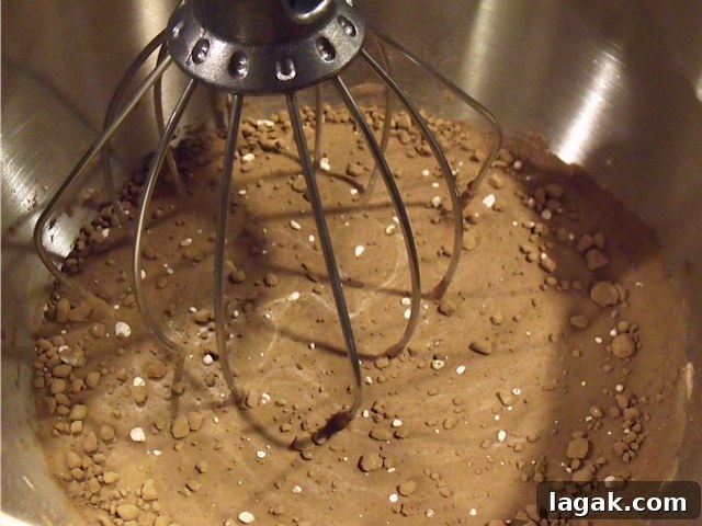 Making Chocolate Mousse img 585 2