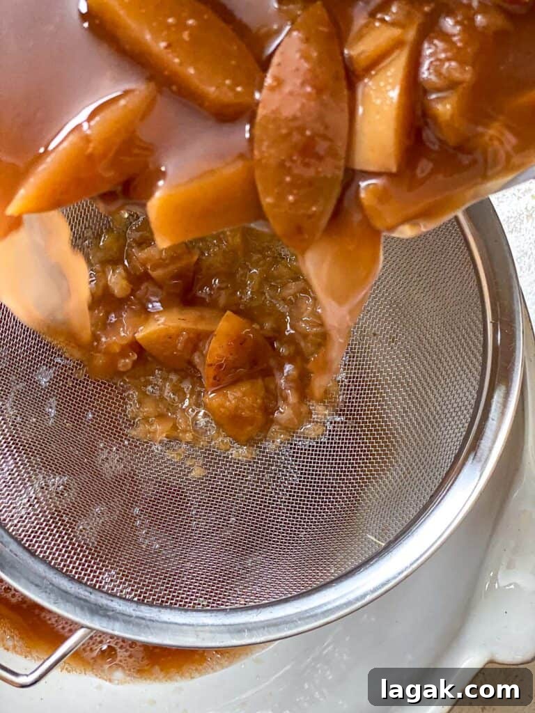 apple fiber mixture up closes above pot of apple mixture