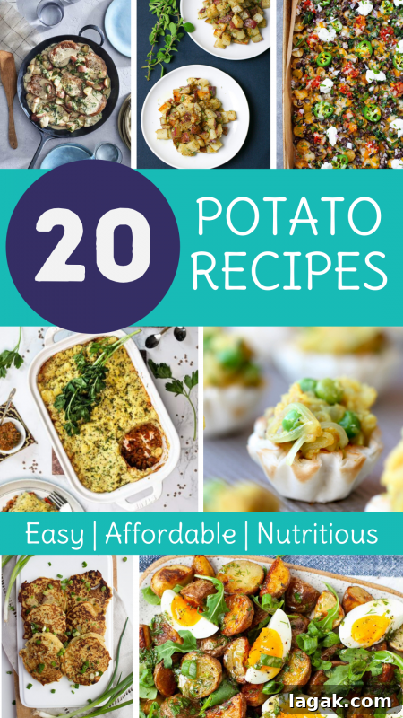 20 Hearty Potato Recipes for Budget-Friendly Weeknight Meals 12 20 Potato Recipes | Easy, Affordable, Nutritious, and Delicious via LizsHealthyTable.com