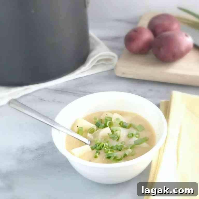 20 Hearty Potato Recipes for Budget-Friendly Weeknight Meals 3 20 Potato Recipes | Easy, Affordable, Nutritious, and Delicious via LizsHealthyTable.com