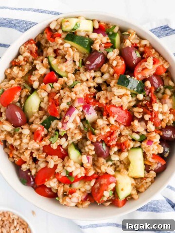 A bowl filled with grains, vegetables, and olives.