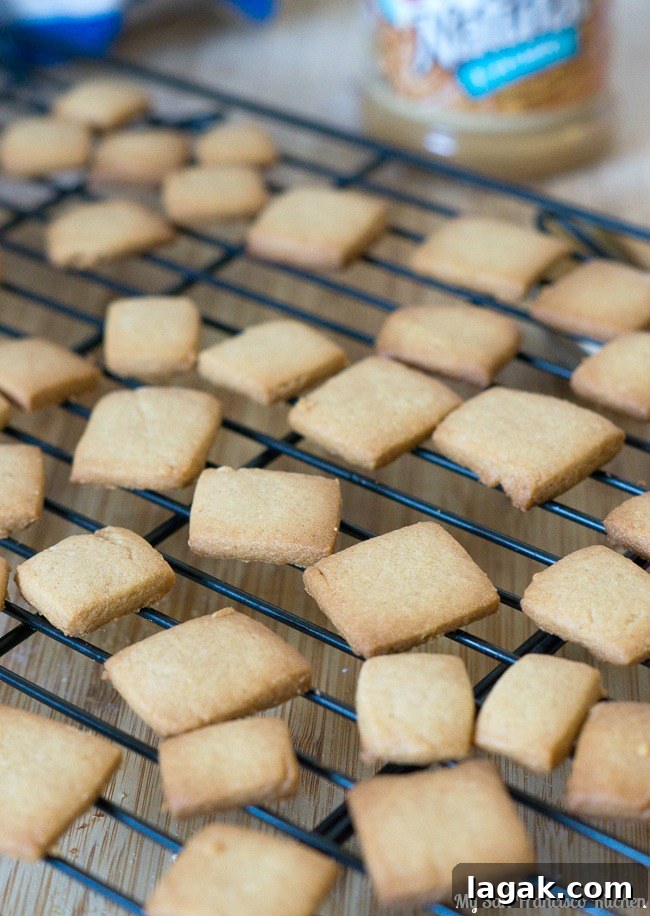 pb-pinecone-cookies-4