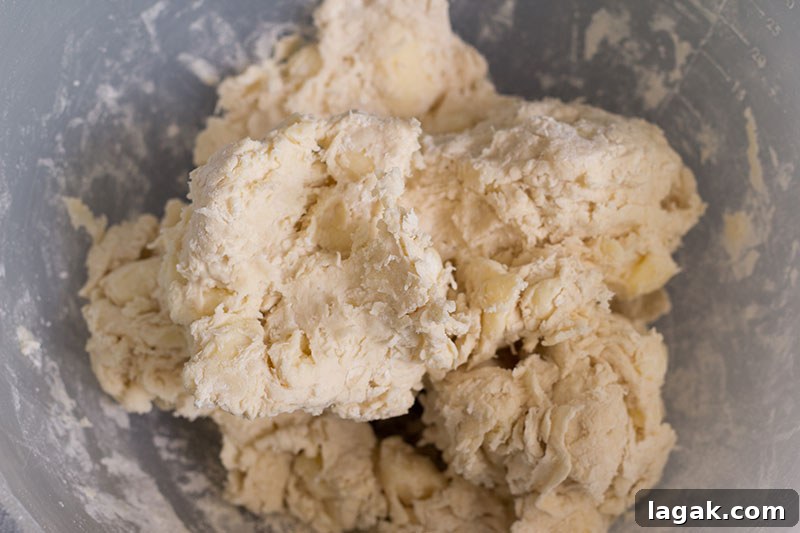 Flaky Spelt Rough Puff Pastry Recipe for Crispy Pastry Layers 5 Basic mix for spelt rough puff pastry