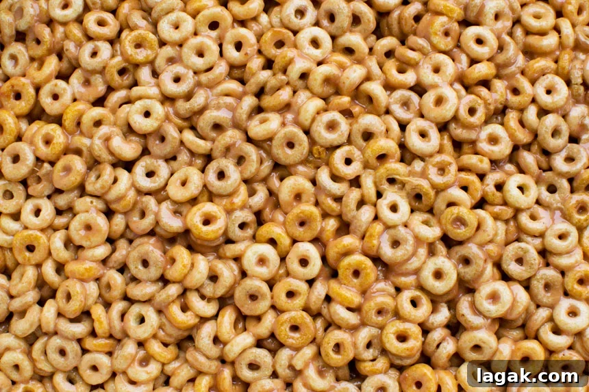 The top surface of peanut butter cheerio bars from above without chocolate on