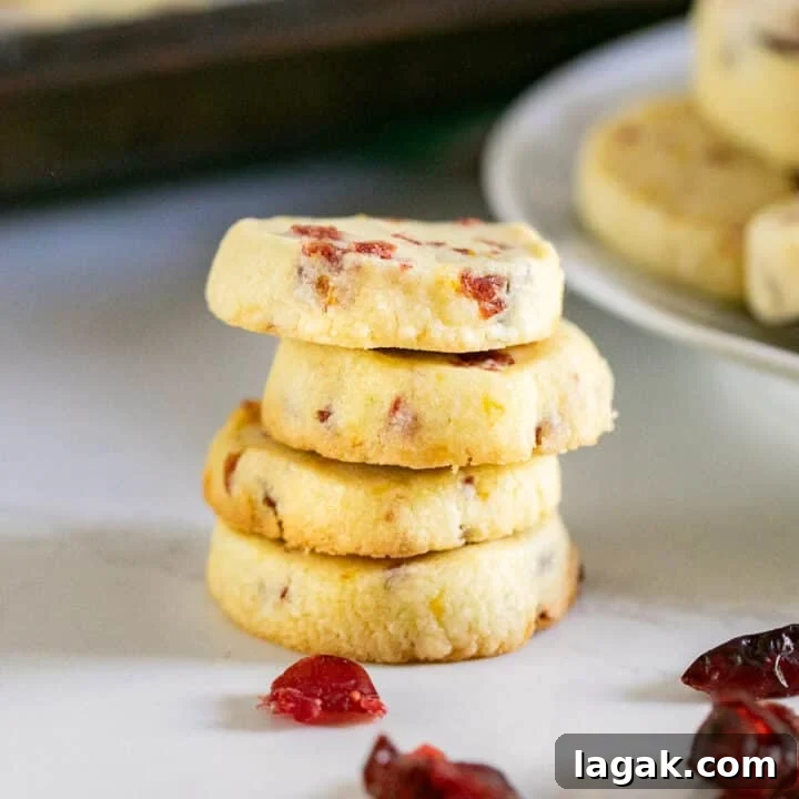A stack of cranberry shortbread cookies.