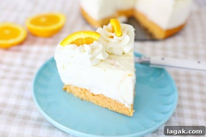 No-Bake Orange Cream Cheesecake Recipe for Zesty Summer Desserts 6 A slice of the orange cheesecake.