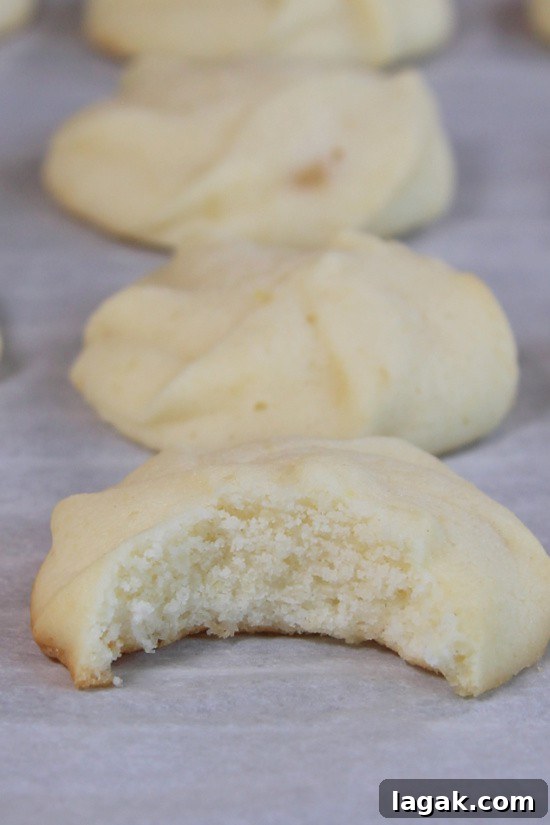 Homemade Butter Cookies are light and airy, so delicious you can't eat just one. Homemade Butter Cookies