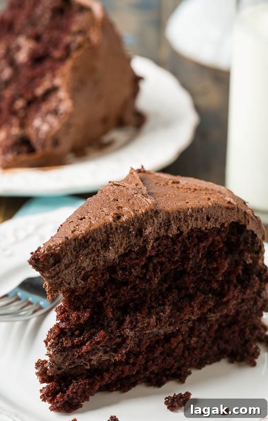 Duke's Chocolate Mayonnaise Cake - a southern favorite that's so moist and rich!