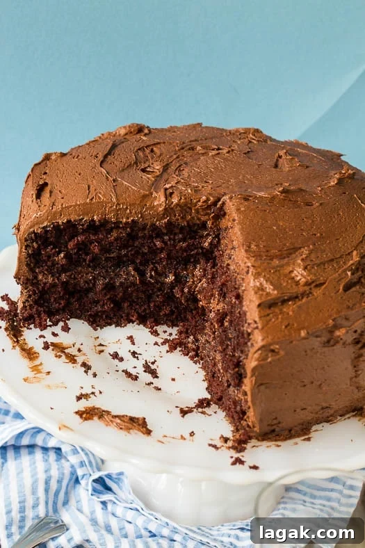 Duke's Chocolate Mayonnaise Cake -so moist!