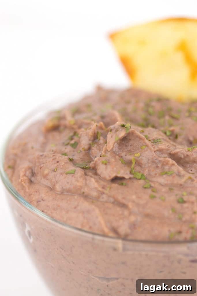 Black bean dip with herbs
