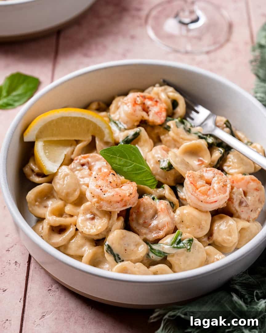 Lemon Garlic Shrimp Orecchiette with Creamy Sauce 3 Shrimp Orecchiette with Garlic Lemon Cream Sauce