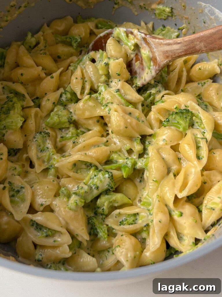One-Pot Broccoli Mac and Cheese Recipe 2 img 9000 1