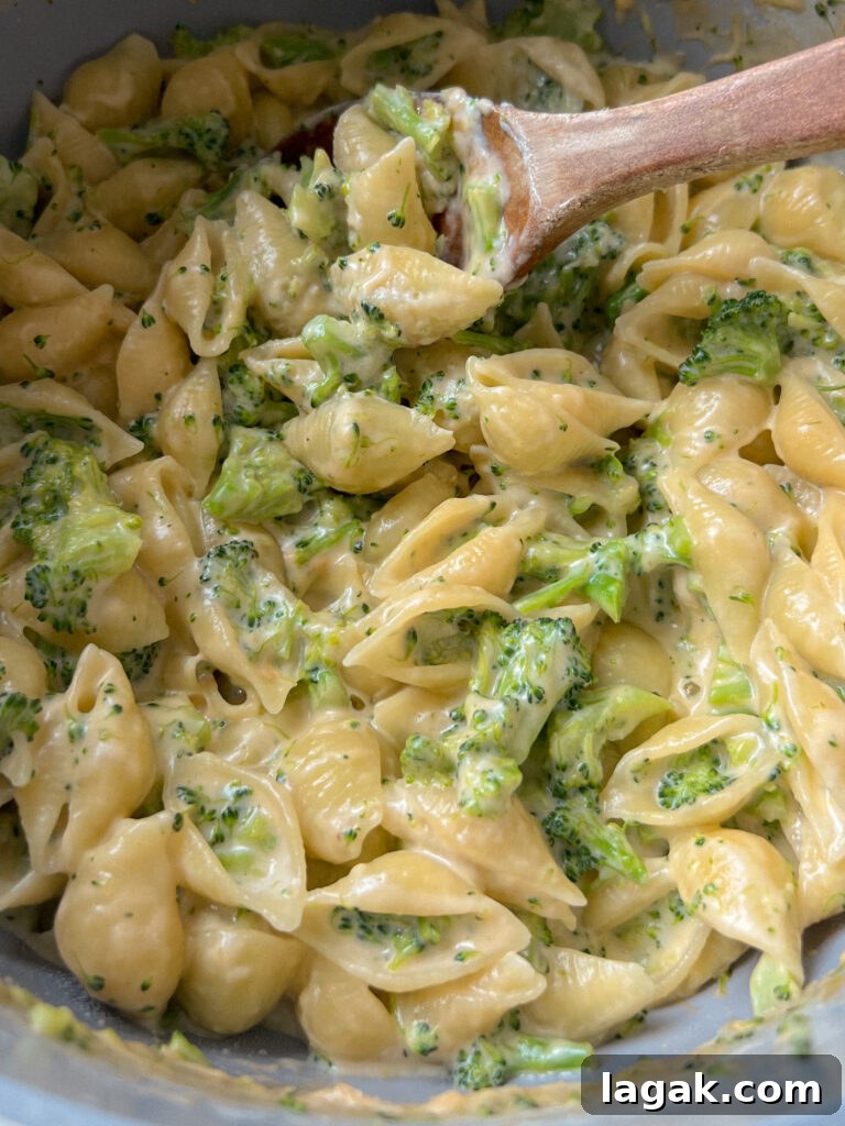 One-Pot Broccoli Mac and Cheese Recipe 3 img 9000 2