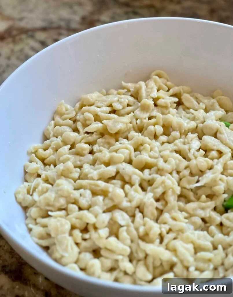 Sourdough Spätzle Recipe: Authentic German Noodles with Tang 15 img 9131 14