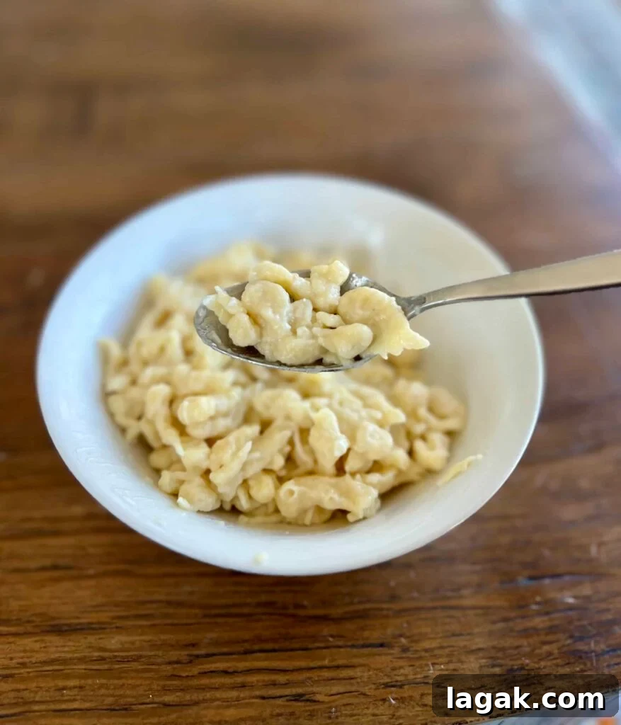 Sourdough Spätzle Recipe: Authentic German Noodles with Tang 17 img 9131 16