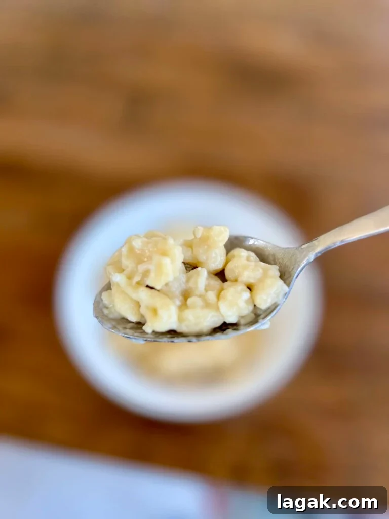 Sourdough Spätzle Recipe: Authentic German Noodles with Tang 18 img 9131 17