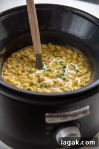 chicken tortellini soup in slow cooker with ladle