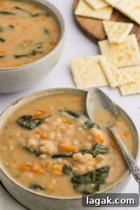 A bowl of the cooked bean soup, served with a spoon laid on top, showcasing the white navy beans, carrots, spinach, and creamy broth. The bowl is ready to be enjoyed.