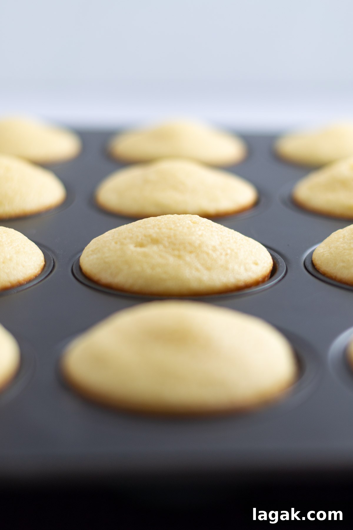 the vanilla cupcakes in a muffin tin after they have baked.
