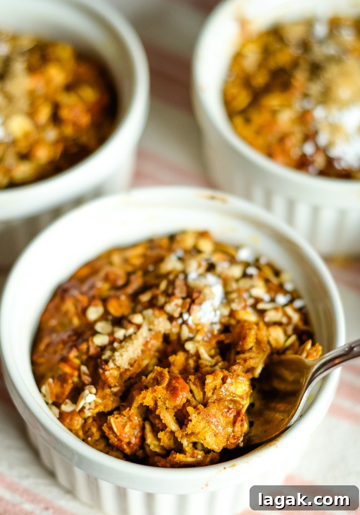 air fryer baked pumpkin oatmeal