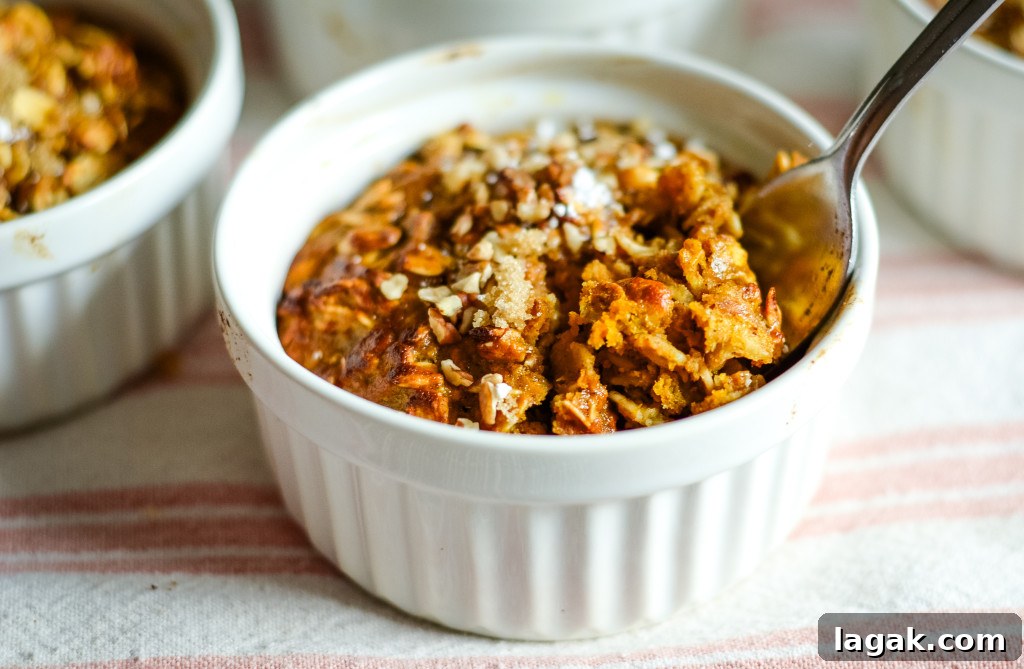 air fryer baked pumpkin oatmeal