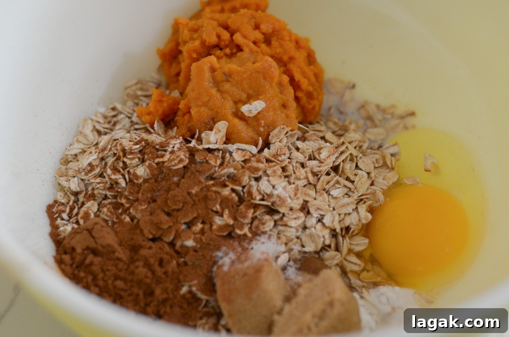 air fryer baked pumpkin oatmeal
