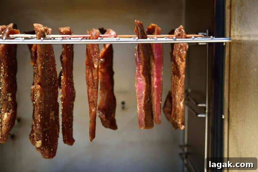 Jerky Hanging in Smoker and Ready to Dry